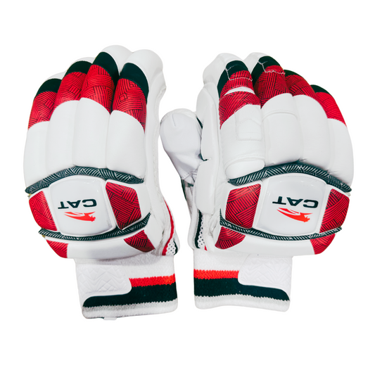 Importance of Gloves & Pads While Playing Cricket – Stay Safe, Play Hard with Titan Willow Gear