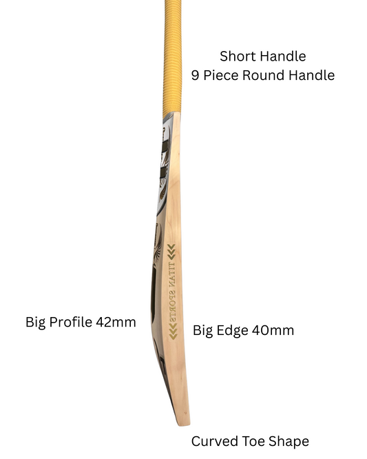 Grade 1 English willow cricket bat with straight grains and premium finish