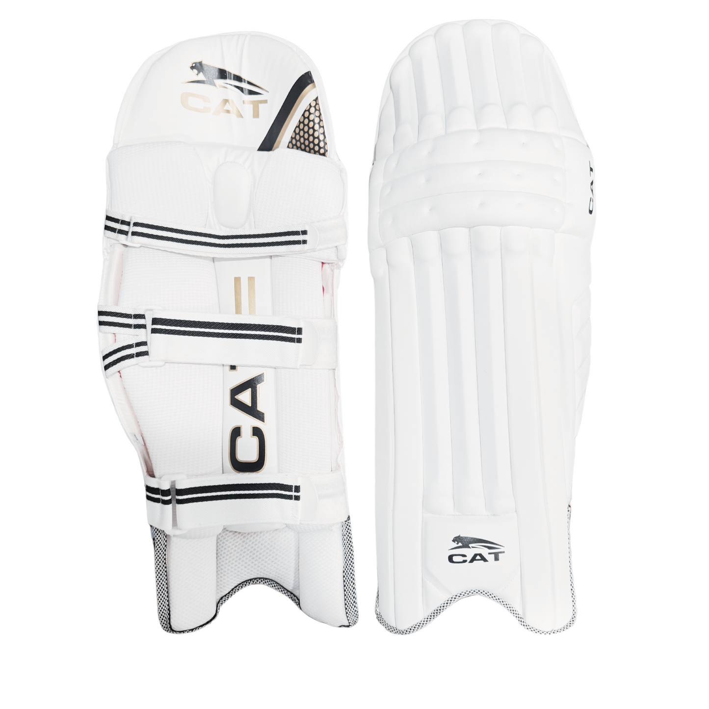 Front view of pro cricket batting pads with knee cap and shin protection