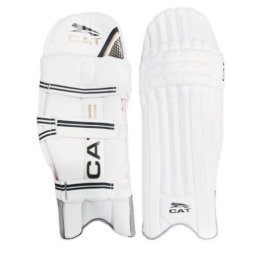 Front view of pro cricket batting pads with knee cap and shin protection