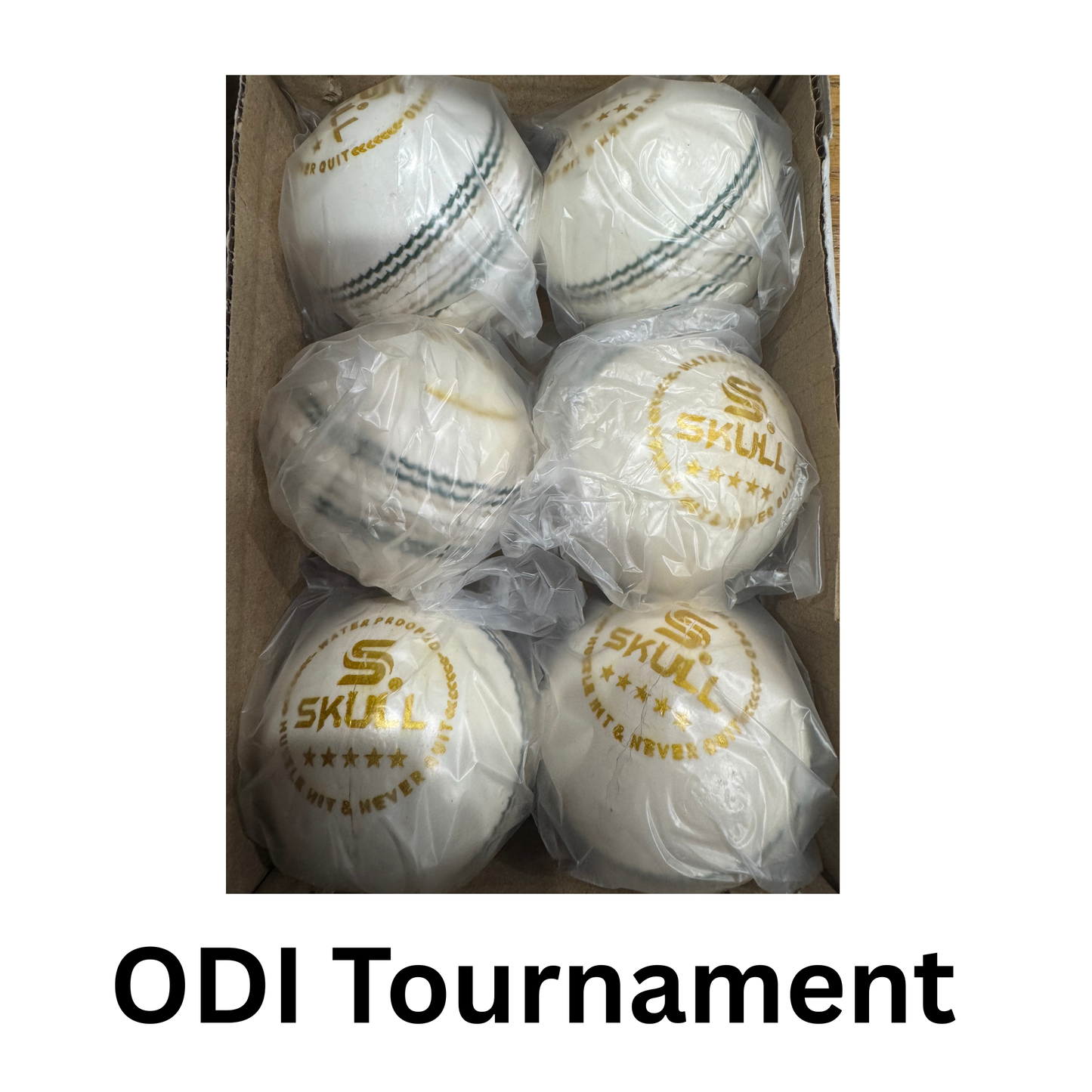 White leather hard cricket ball with prominent seam and polished finish