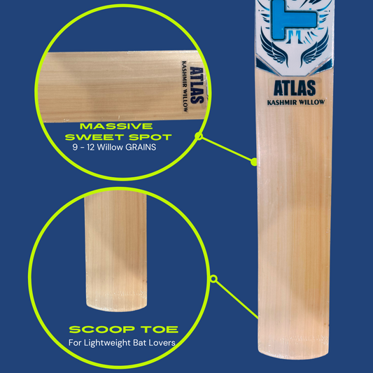 Handcrafted Grade 1 cricket bat made from top-quality Kashmir willow wood