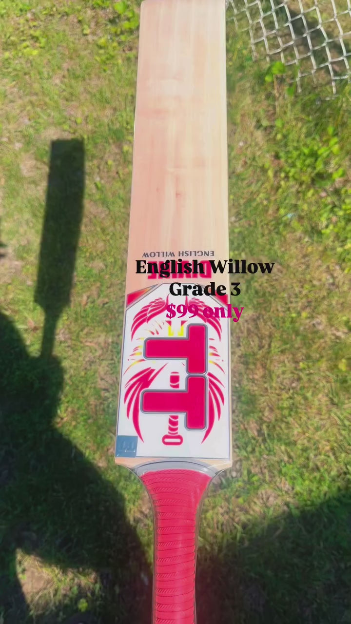 English willow affordable & for net practice with leather ball less than 100 dollars 